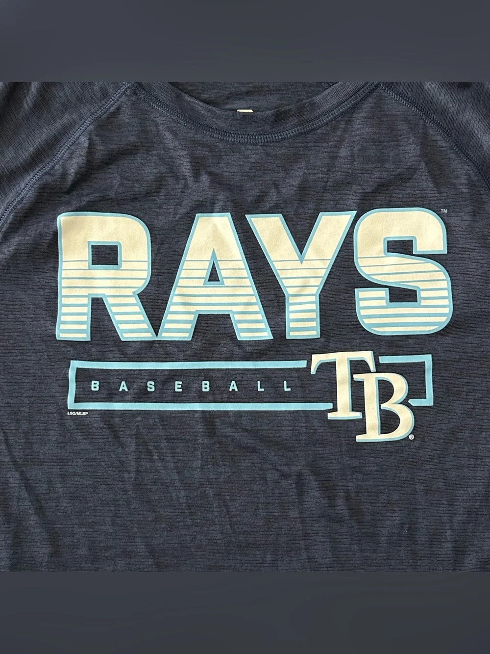 Tampa Bay Rays Navy Dark Blue Shirt Men’s L TB Baseball Graphic Athletic Workout
